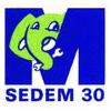 SEDEM 30