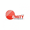 AMITY INSULATION SERVICES LIMITED