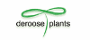DEROOSE PLANTS