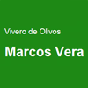 VIVERO DE OLIVOS MARCOS VERA