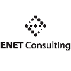 ENET CONSULTING