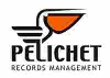 AGS RECORDS MANAGEMENT - PELICHET