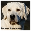 BROOKS LABRADORS LLC